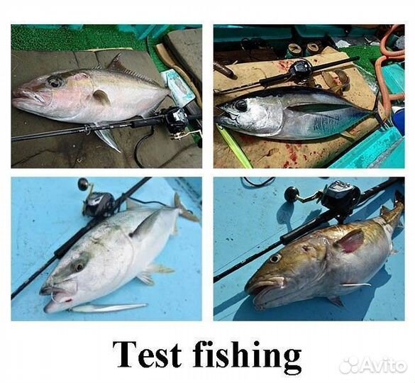 Daiwa 2021 neostage DG J60B-4