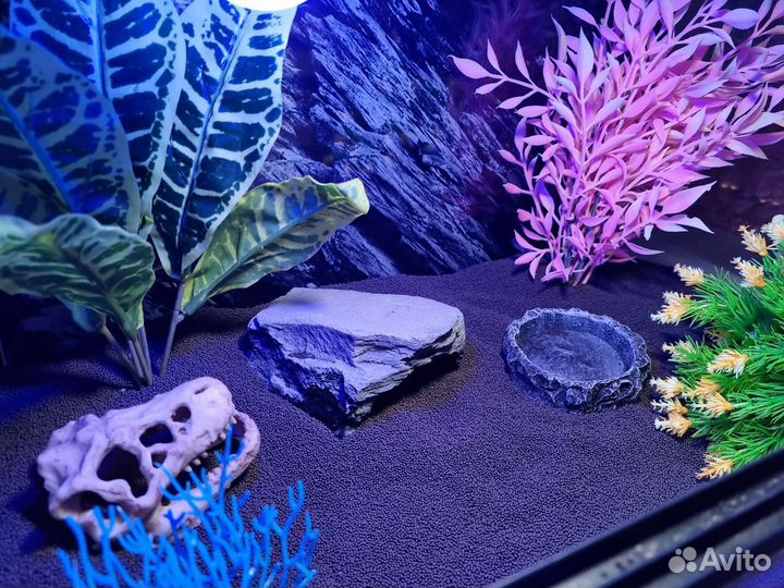 Террариумы