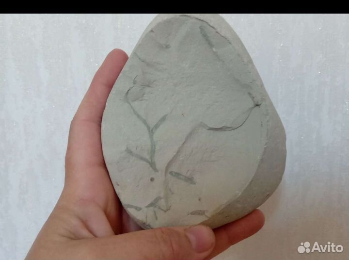 Окаменелость, натуральные камни