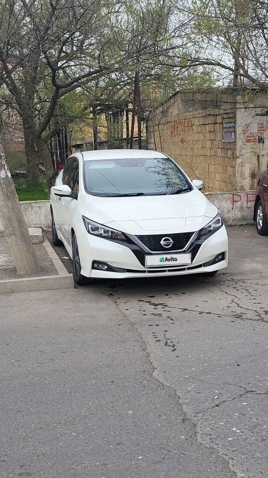 Nissan Leaf: фото владельца