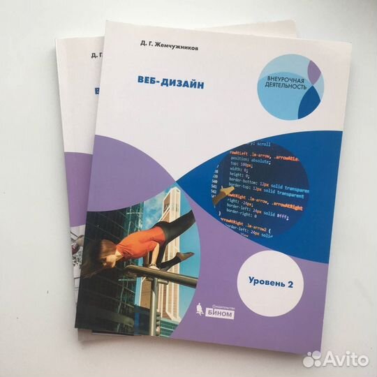 Веб дизайн внеурочная деятельность (две части)