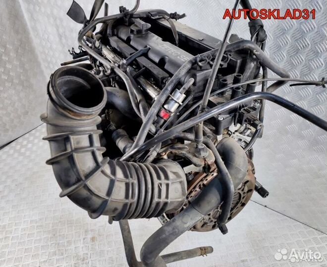 Двигатель fydd Ford Focus 1 1.6 Бензин