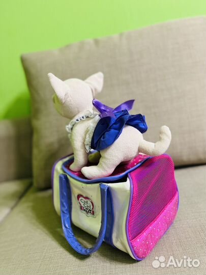 Собака chi chi love Чи-чи-лав