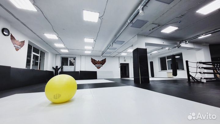 Бокс,Кэмпо-MMA,Дзюдо, Самбо, борьба