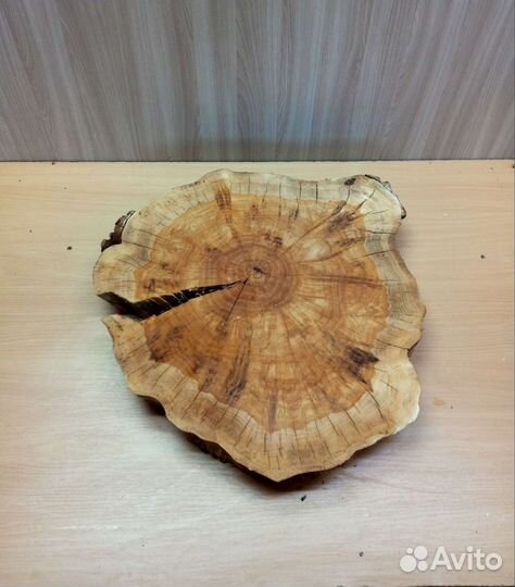 Спилы дерева