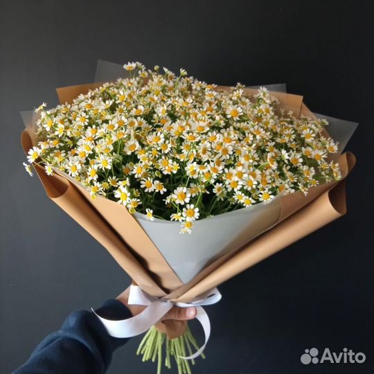 Цветы ромашки