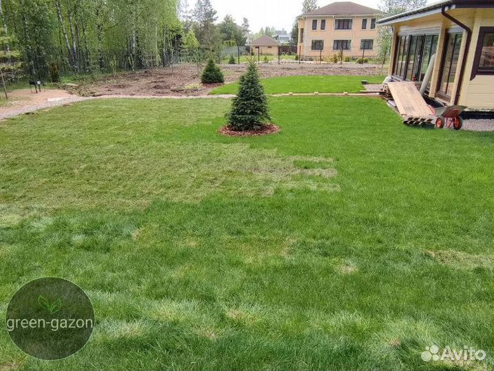 Газон