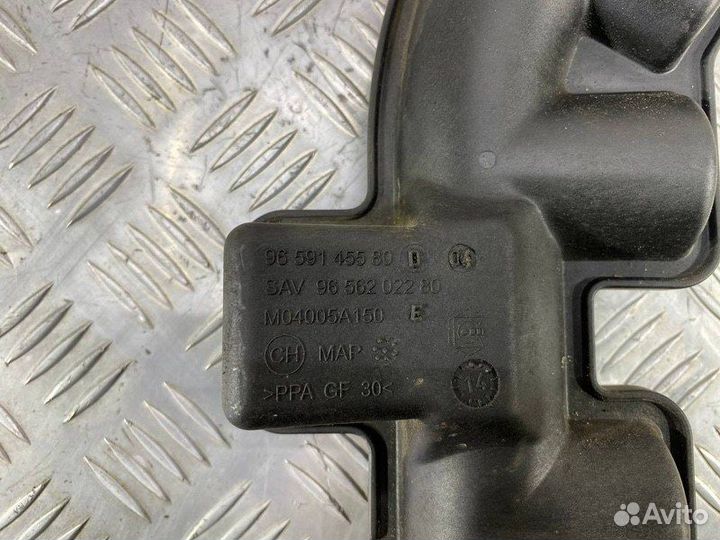 Патрубок интеркулера Citroen C4 B73 10fjbzpsa5F06