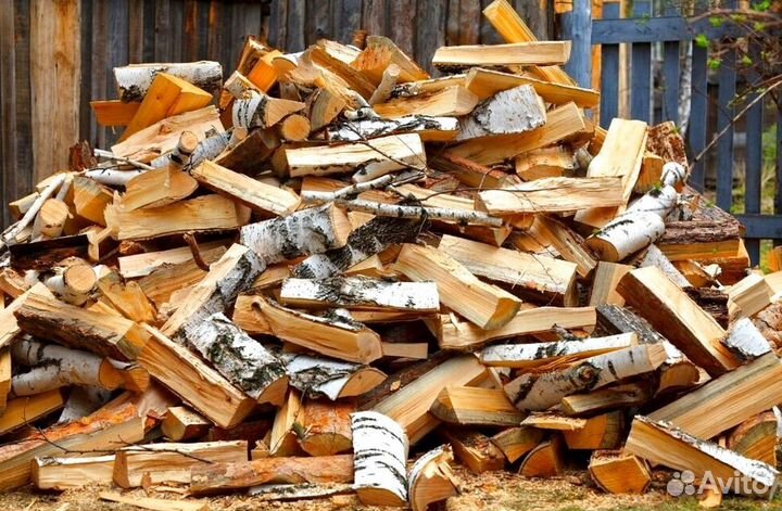 Кора березы