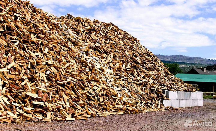 Дрова Береза