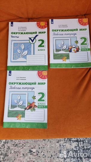 Окружающий мир 2 класс рабочая тетрадь