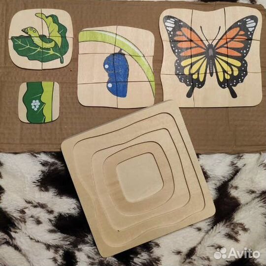 Набор монтессори процесс роста и развития