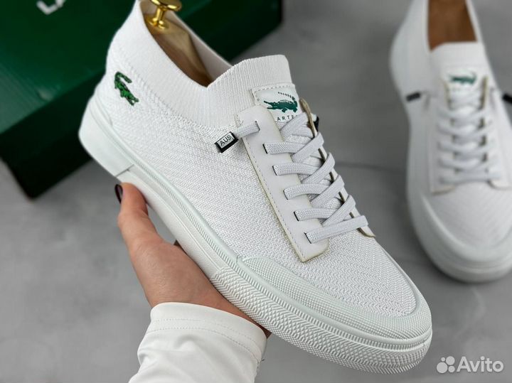 Мужские летние кеды Lacoste white