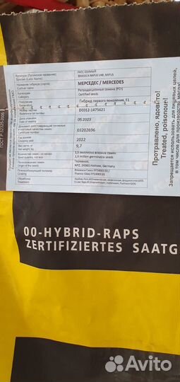 Семена рапса