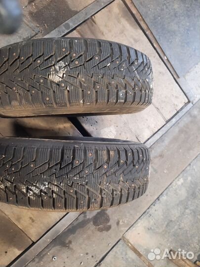 Amtel NordMaster Evo 185/65 R15