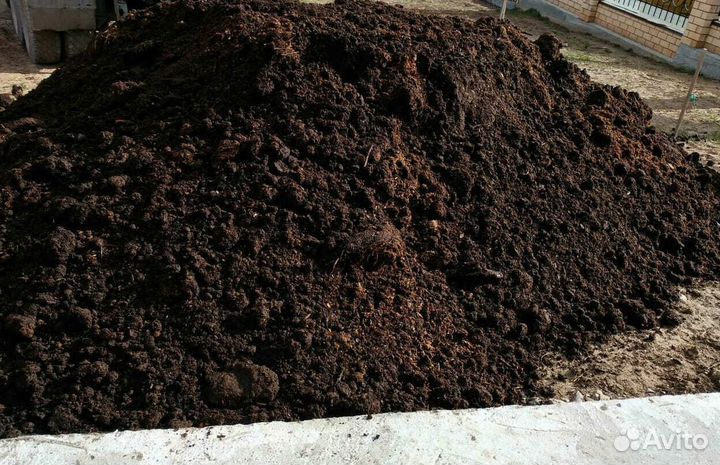 Перегной навоз