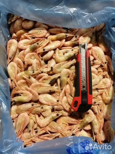 Креветки, Лангустины