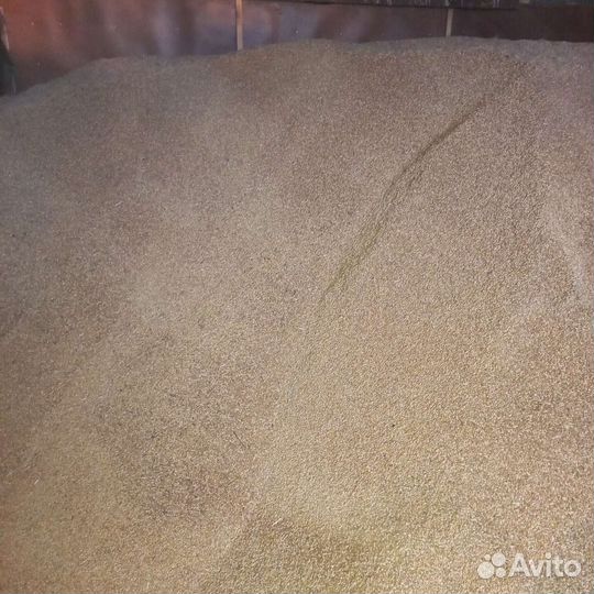 Зерно Ячмень
