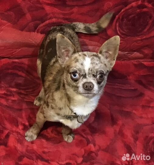 Мальчик с документами