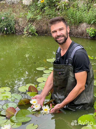 Водные растения