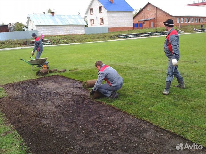 Укладка рулонных газонов ключ