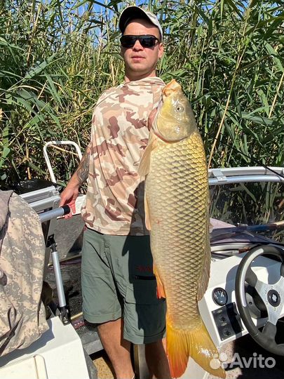 Аренда домиков посуточно