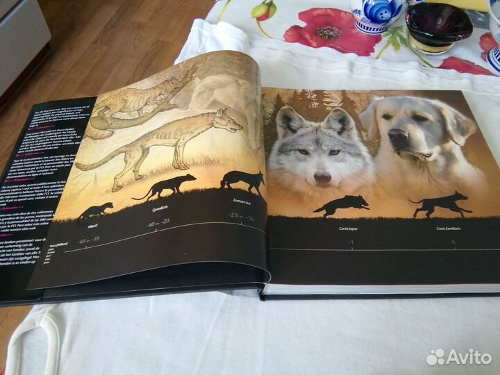 Книга о собаках от корма Екануба. Альбом с фото