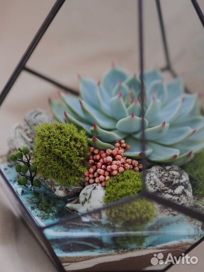 Флорариум в наличии
