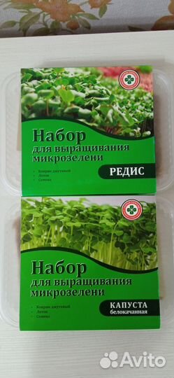 Набор для проращивания микрозелени
