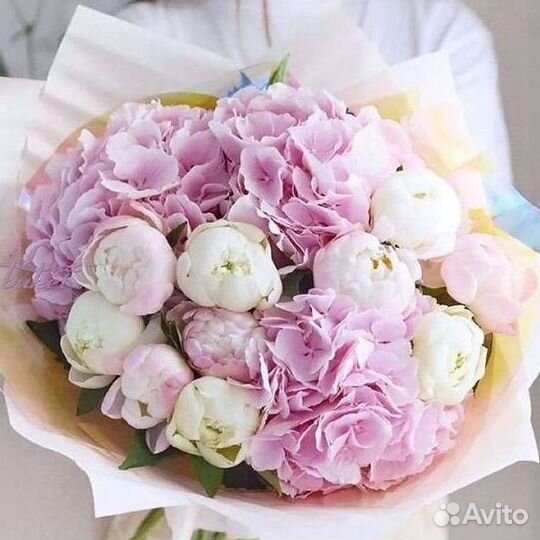Пионы Букет пионов