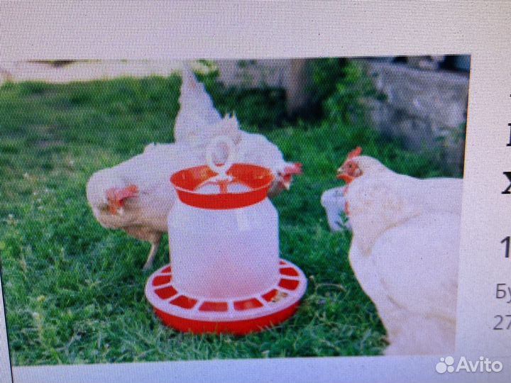 Кормушка для птиц