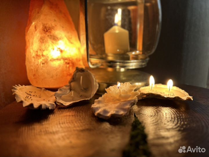 Свеча в устрице