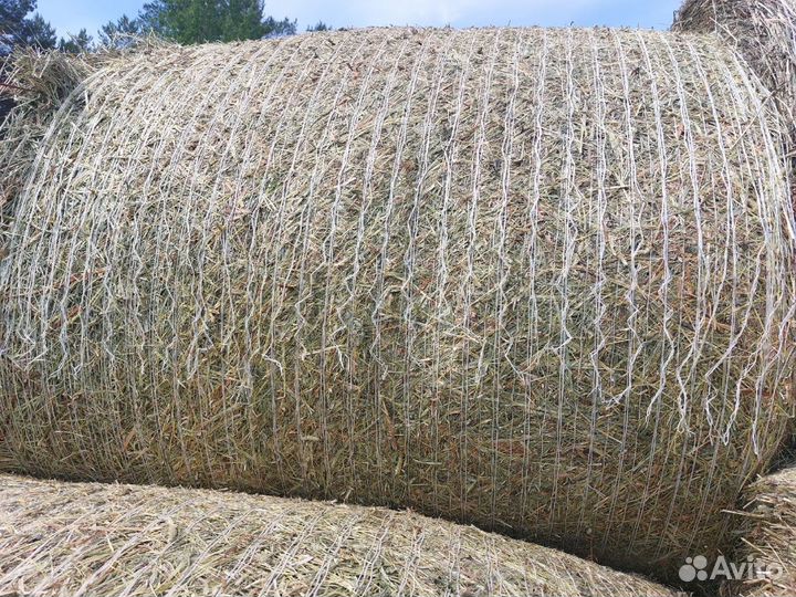 Сено в рулонах