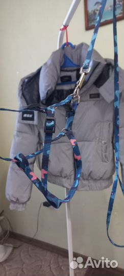 Шлейка с поводком для котика