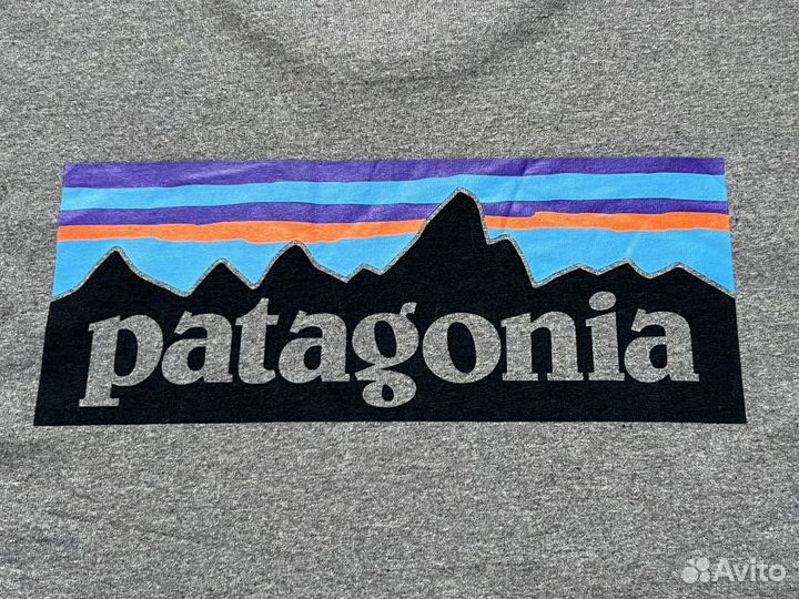 Patagonia футболка мужская оригинал