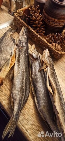 Окунь вяленый