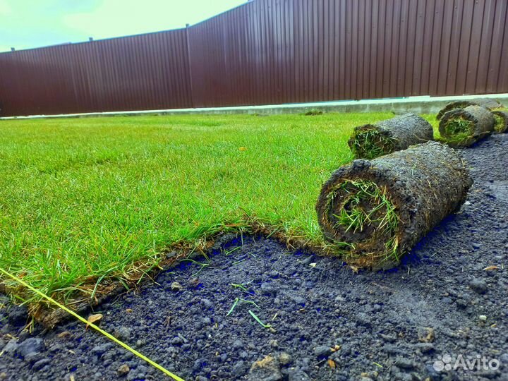 Дренаж участка. Благоустройство территории