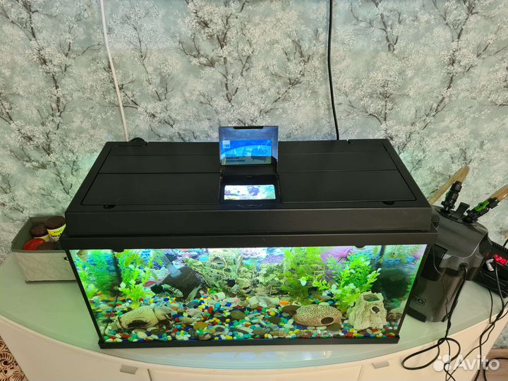 Продам аквариум на 100 л и все оборудование к нему