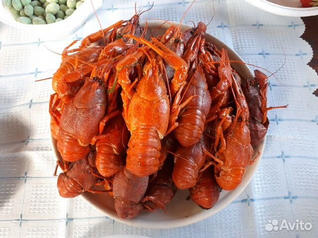 20 раками фото Раки донские купить в Россоши Товары для дома и дачи Авито