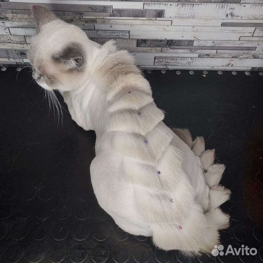 Стрижка собак и кошек