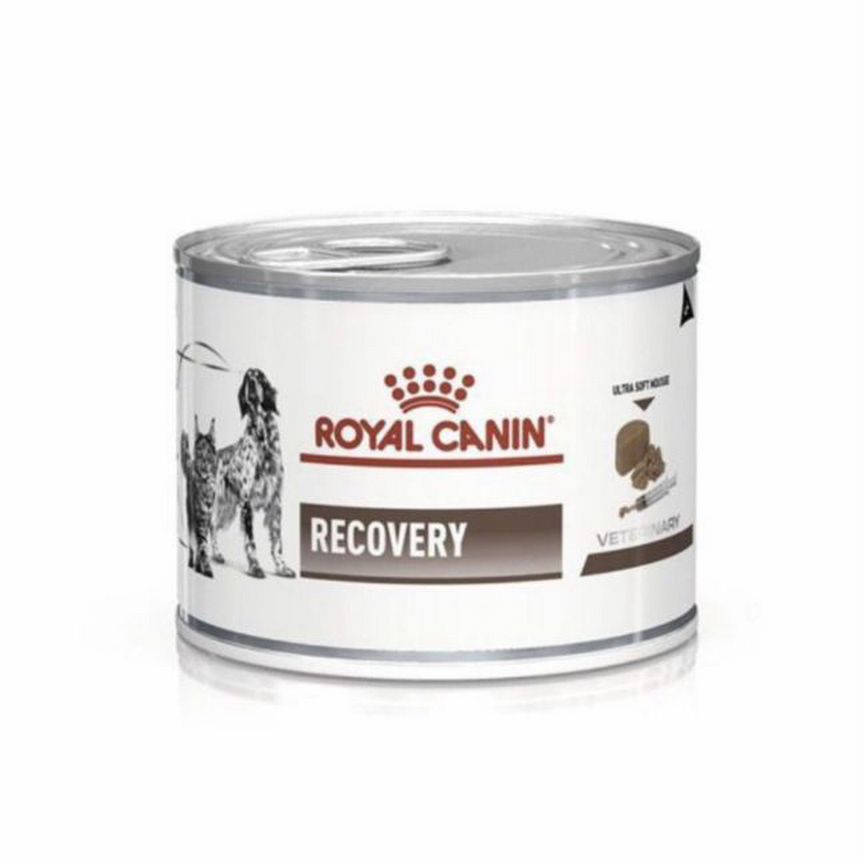 Корм для собак и кошек Royal Canin Recovery