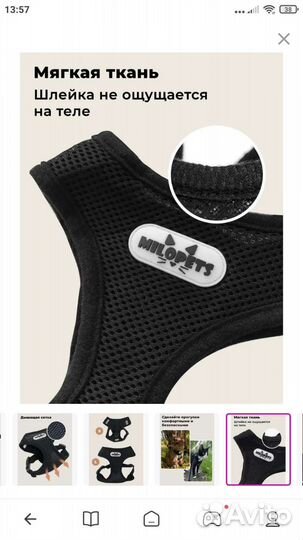 Шлейка и поводок для собак и кошек