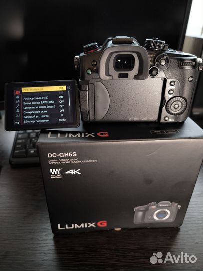 Panasonic Lumix GH5 S