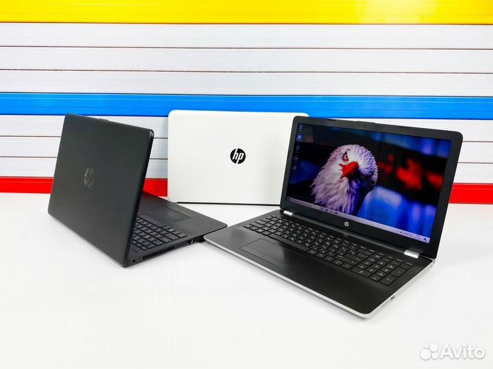 Ноутбуки HP в разных цветах на AMD + SSD + 15.6