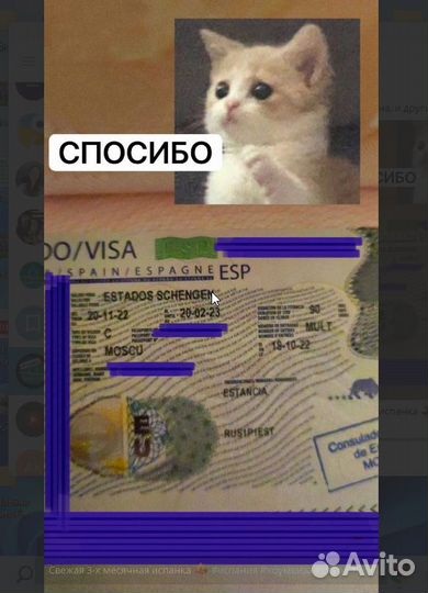Виза в Испанию запись бот