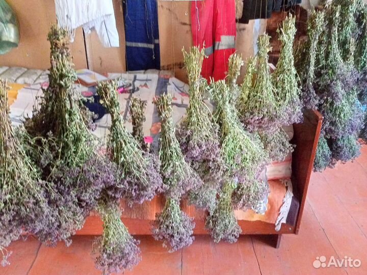 Душица(матрушкэ)