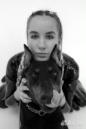 Фотосессия с доберманом под ключ с визажистом