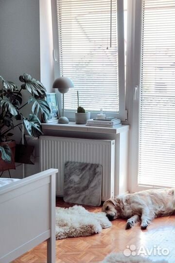 Горизонтальные жалюзи белого цвета