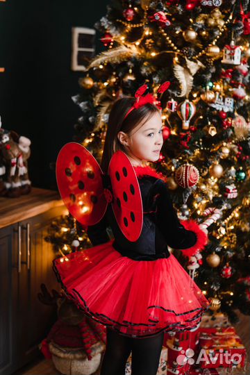 Костюм божьей коровки