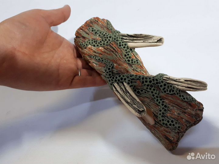 Аквариумистика